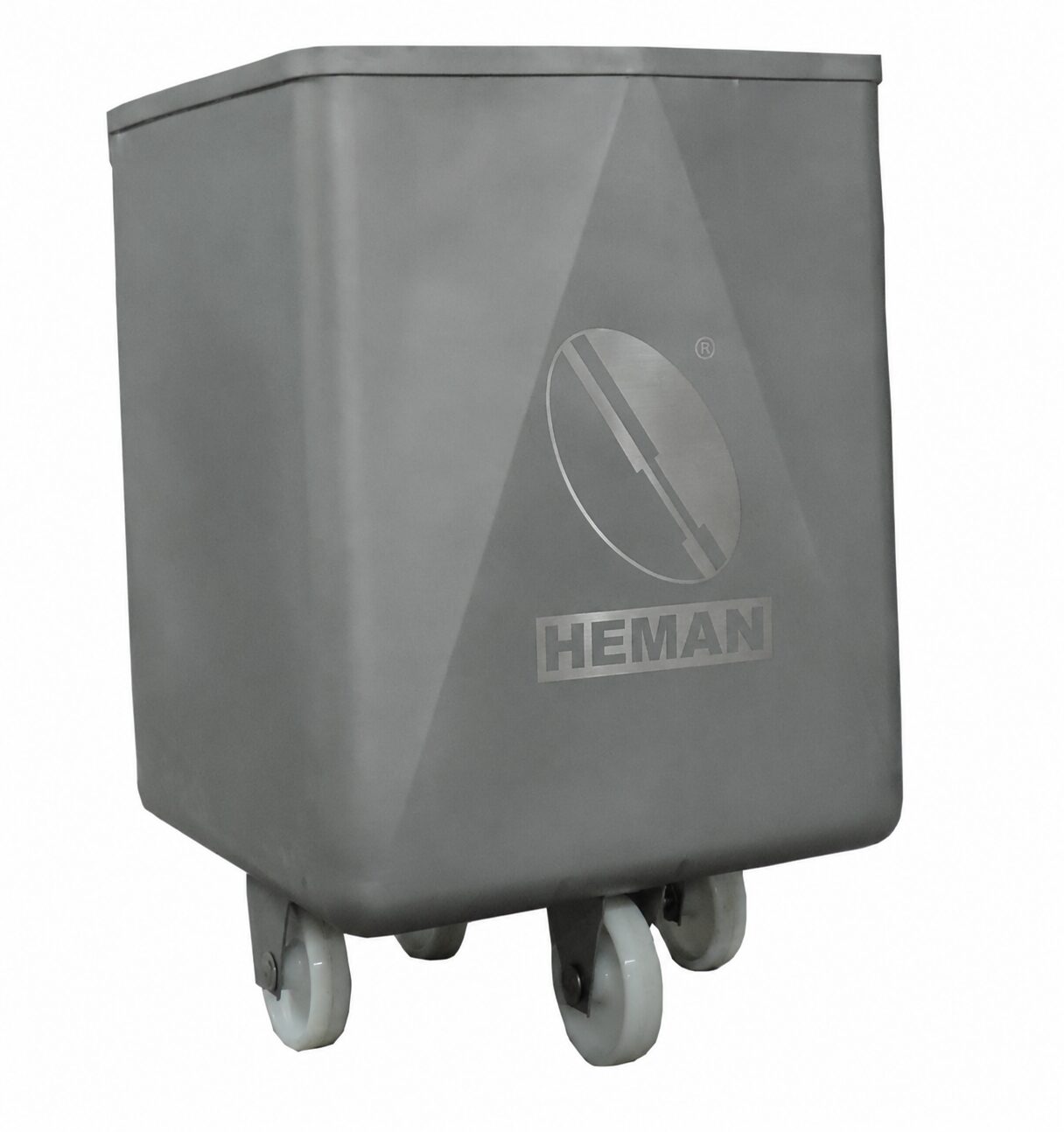 Carro Buggy 300 L HEMAN